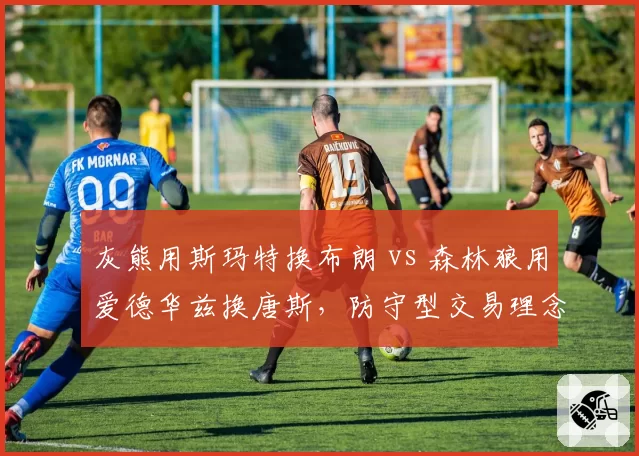 灰熊用斯玛特换布朗 vs 森林狼用爱德华兹换唐斯，防守型交易理念对比