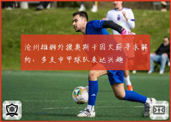 沧州雄狮外援奥斯卡因欠薪寻求解约，多支中甲球队表达兴趣