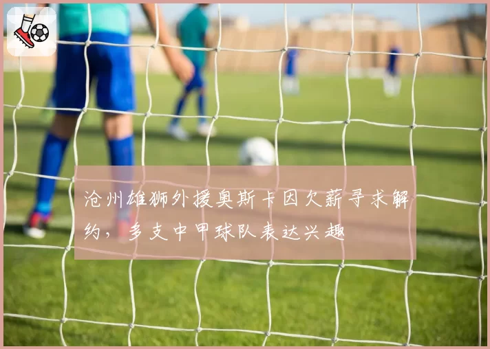 沧州雄狮外援奥斯卡因欠薪寻求解约，多支中甲球队表达兴趣